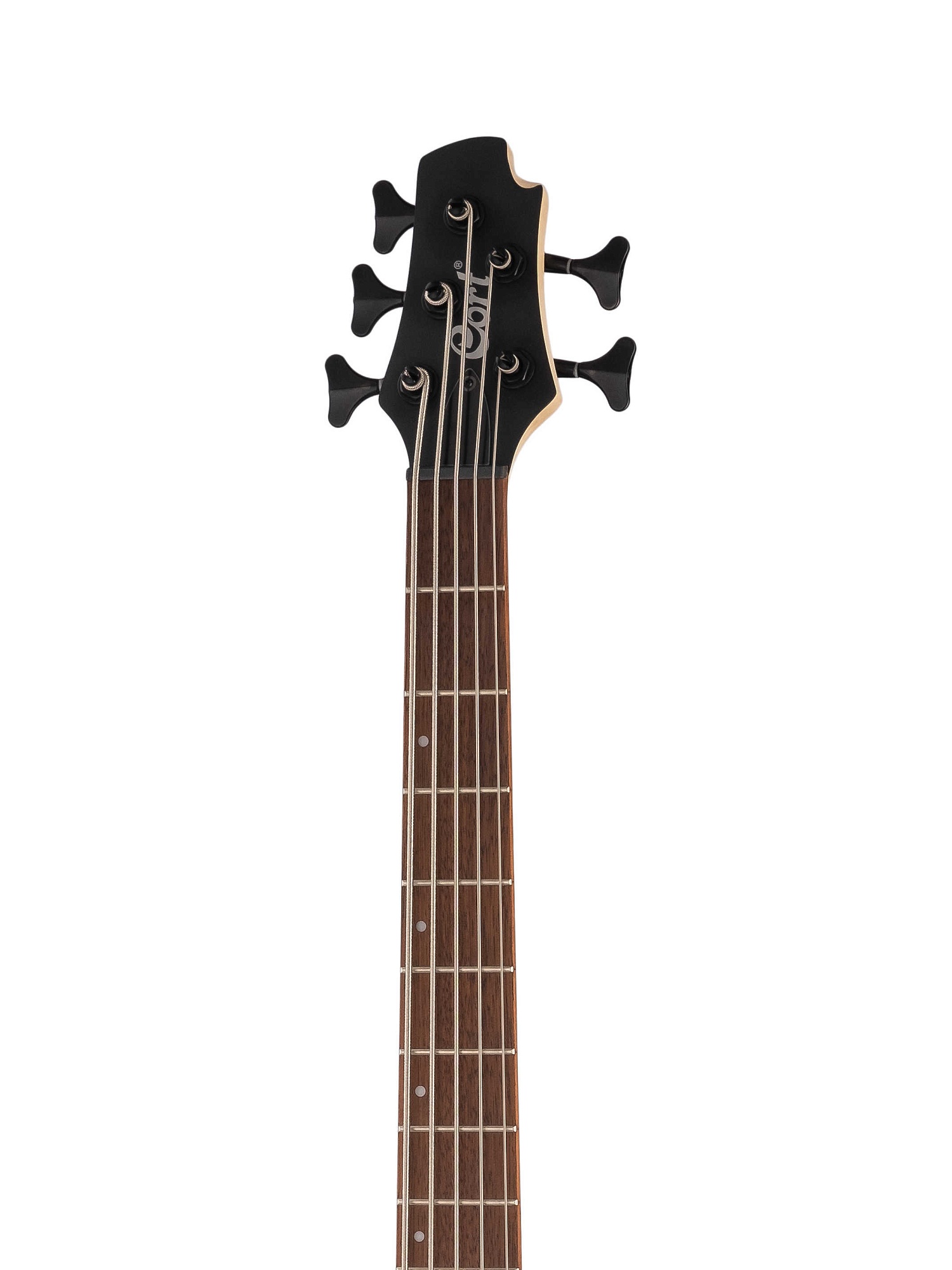 Cort Action DLX-V-AS OPN Action Series