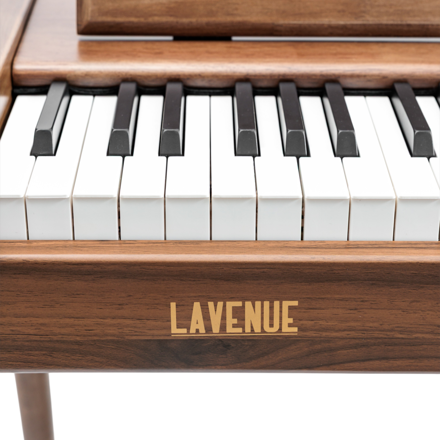 LAVENUE Grand Performance