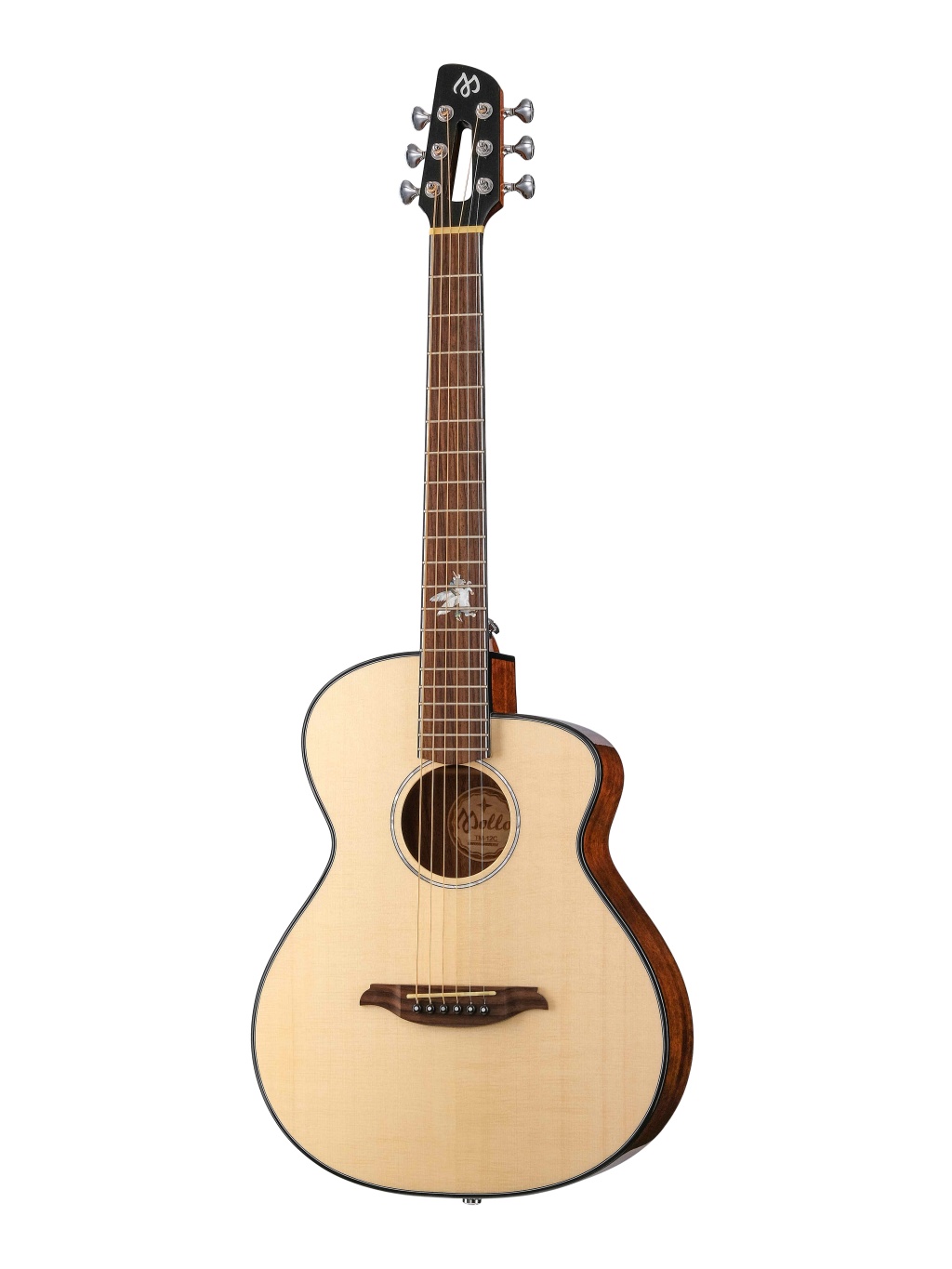 Mollo Guitar TM-12C