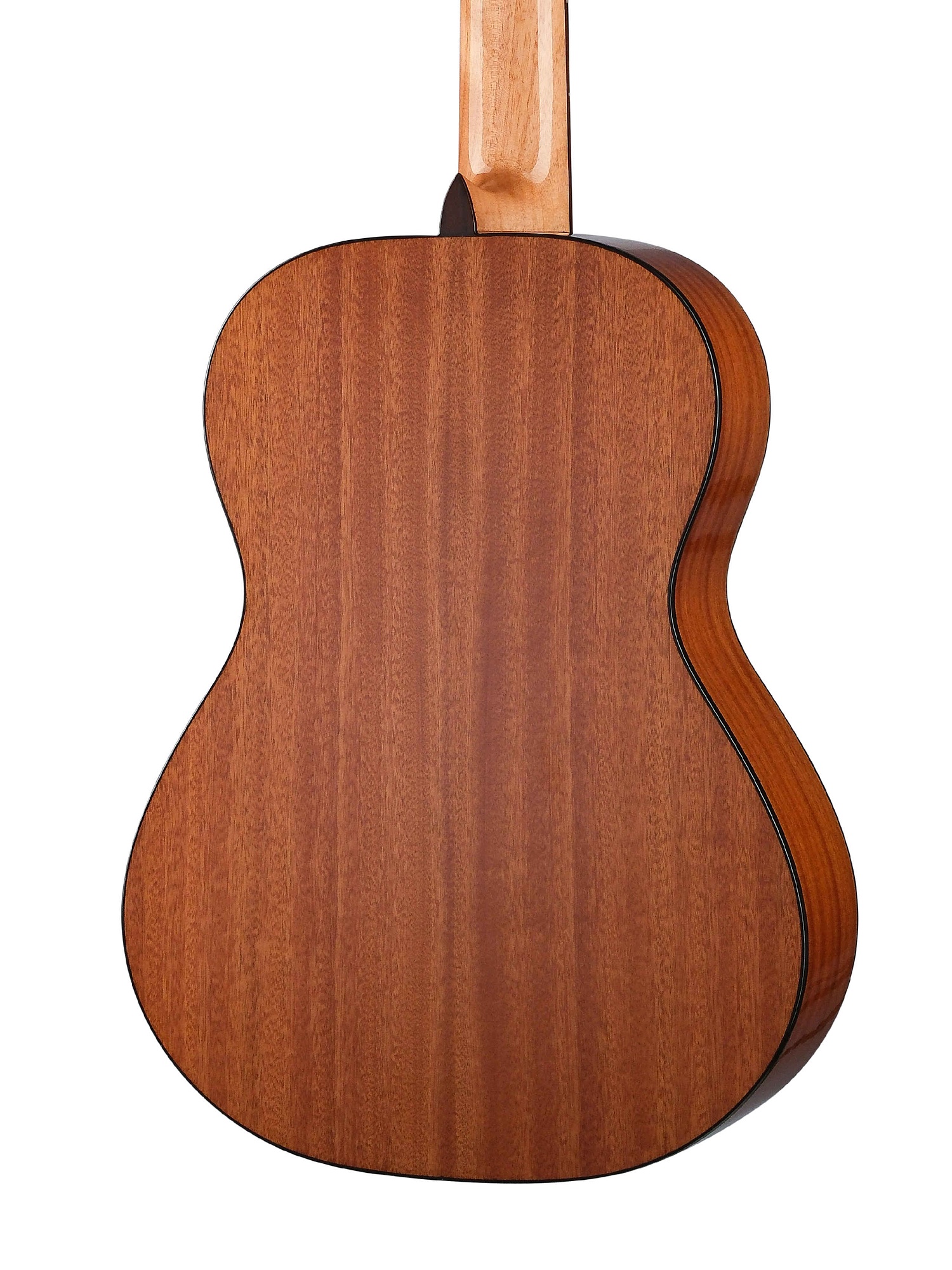 Root Note RNC200-NT