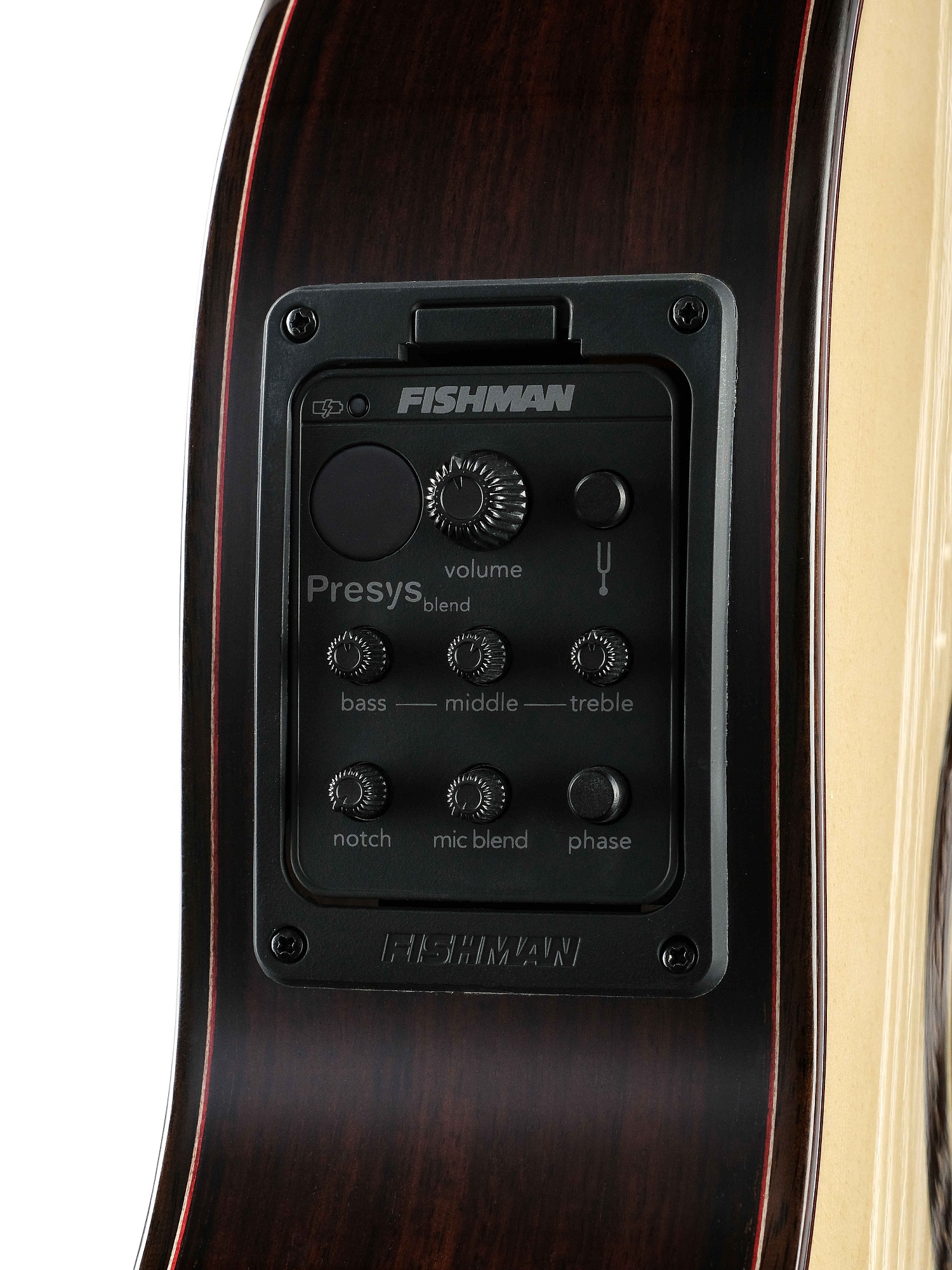 Martinez Almeria-Luthier-Rosewood