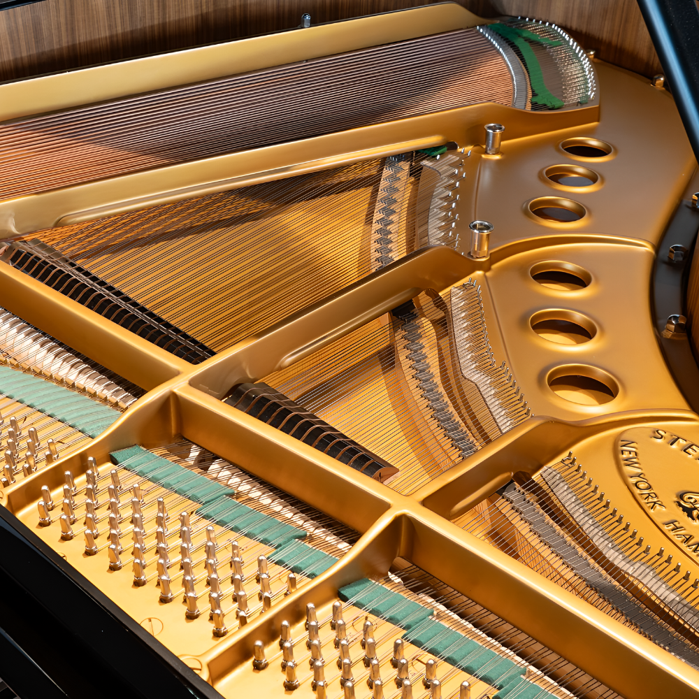 Steinway M-177
