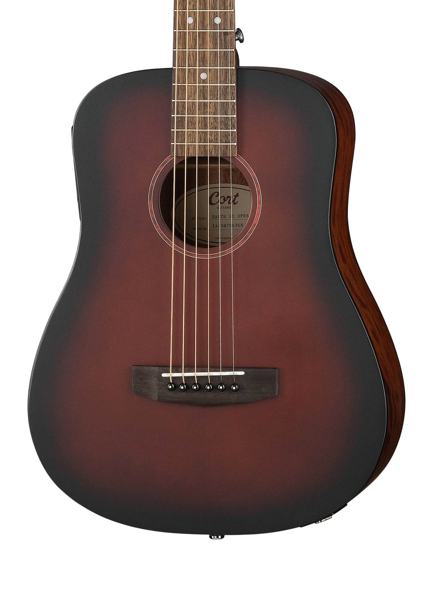 Cort Earth-GO-OPBB-wbag Earth Series