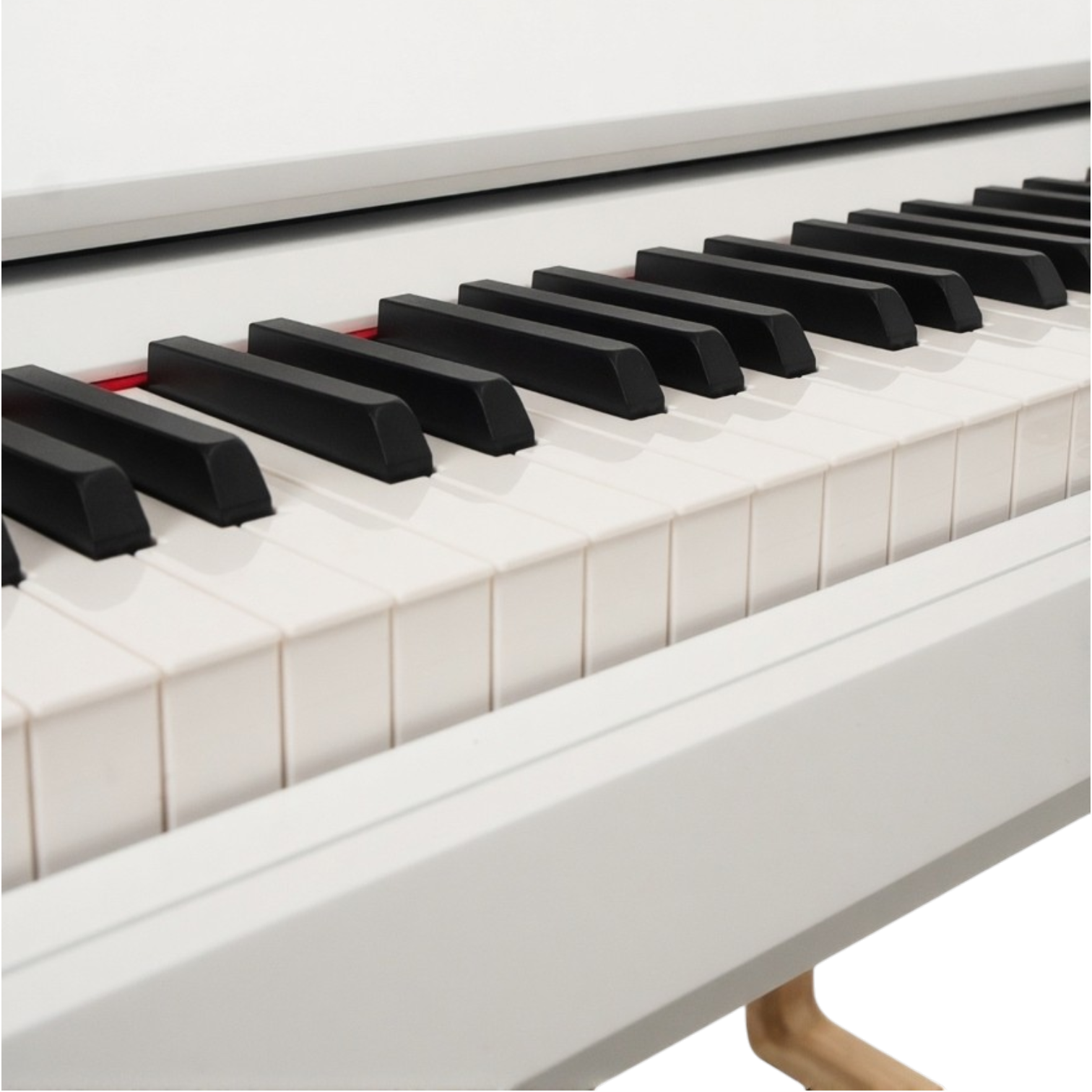 LAVENUE Cadenza Grand WH