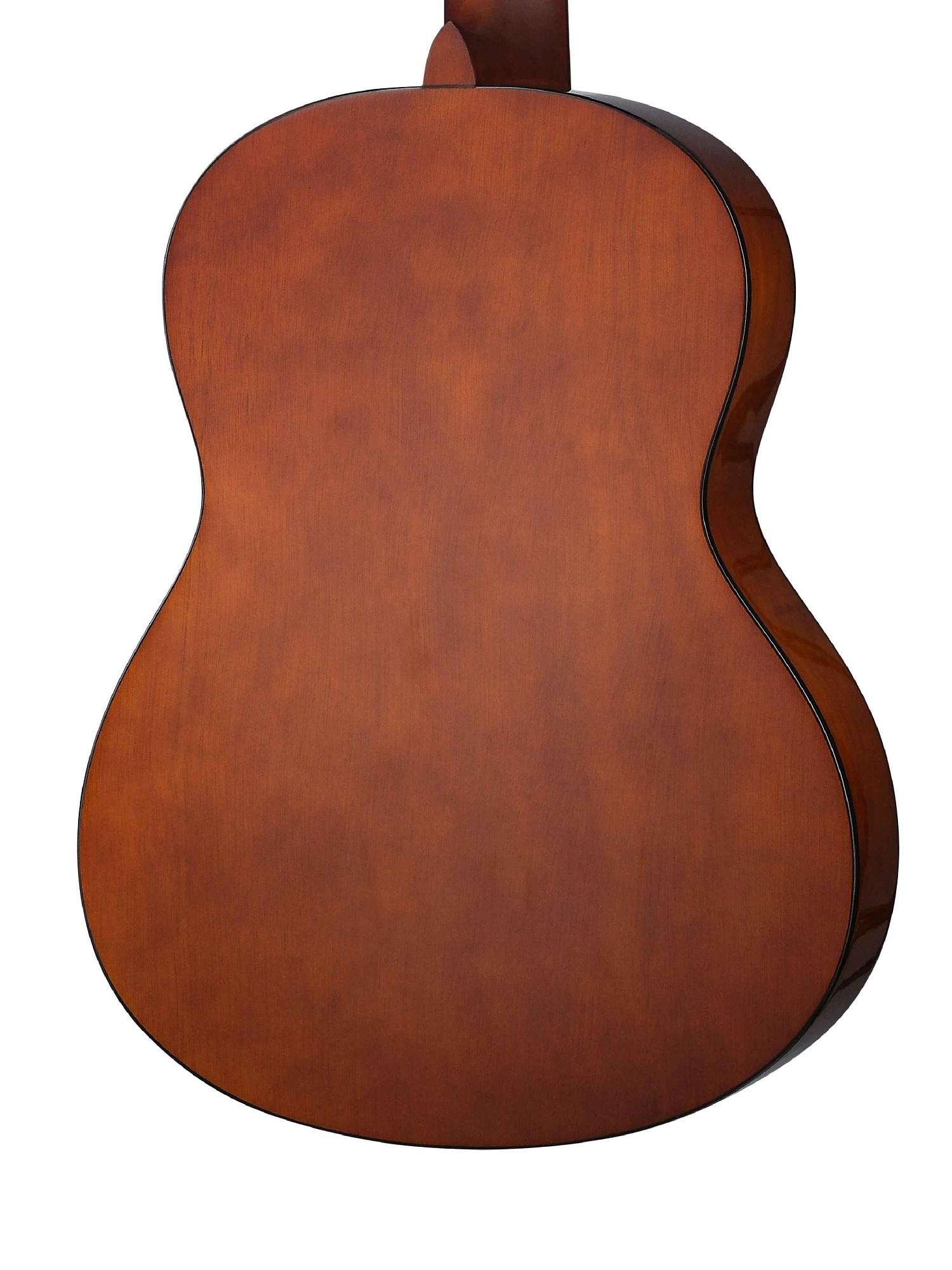 Root Note RNC100-NAT