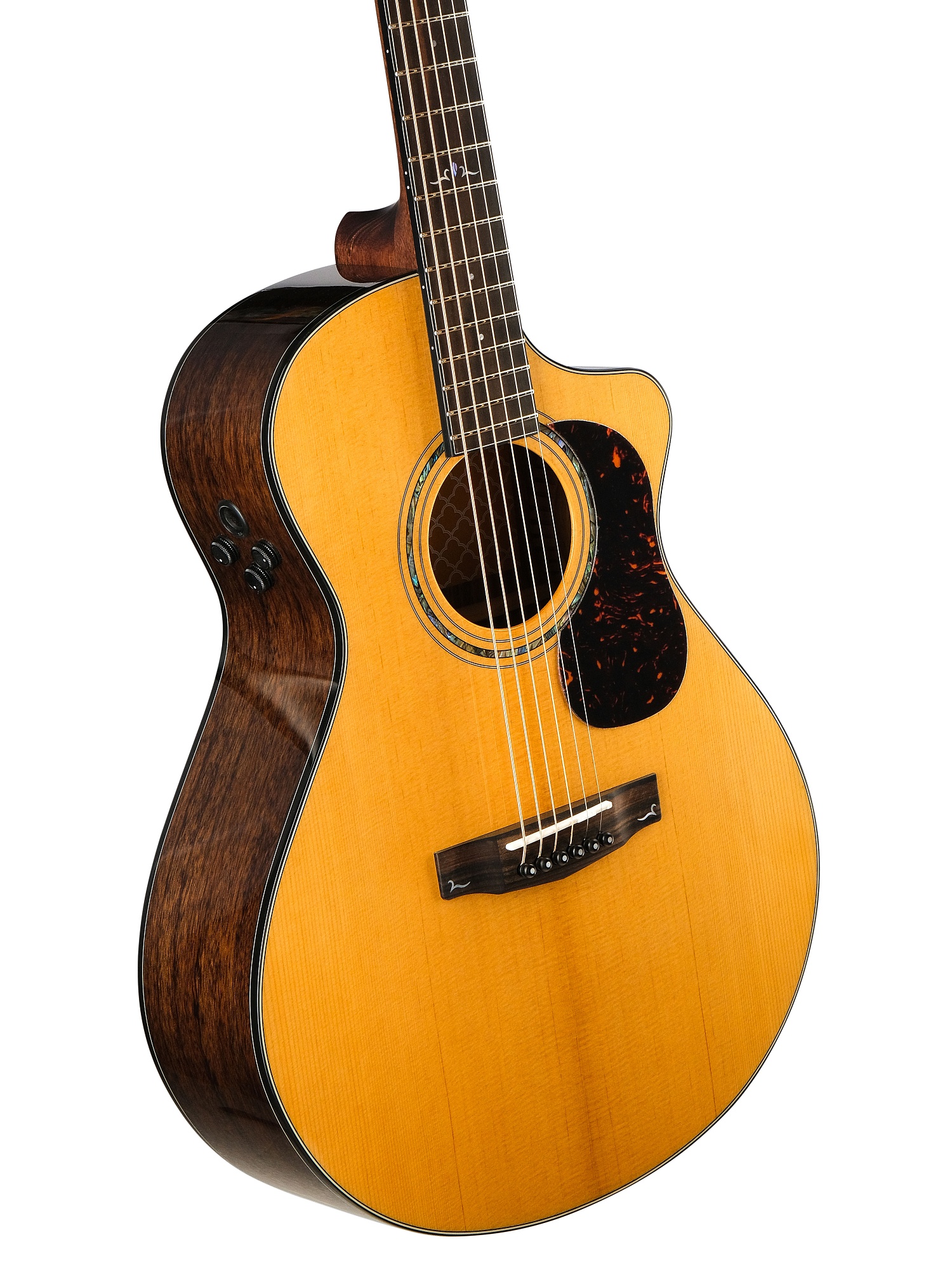 Cort Gold-MC6-Ovangkol-WCASE-NAT Gold Series