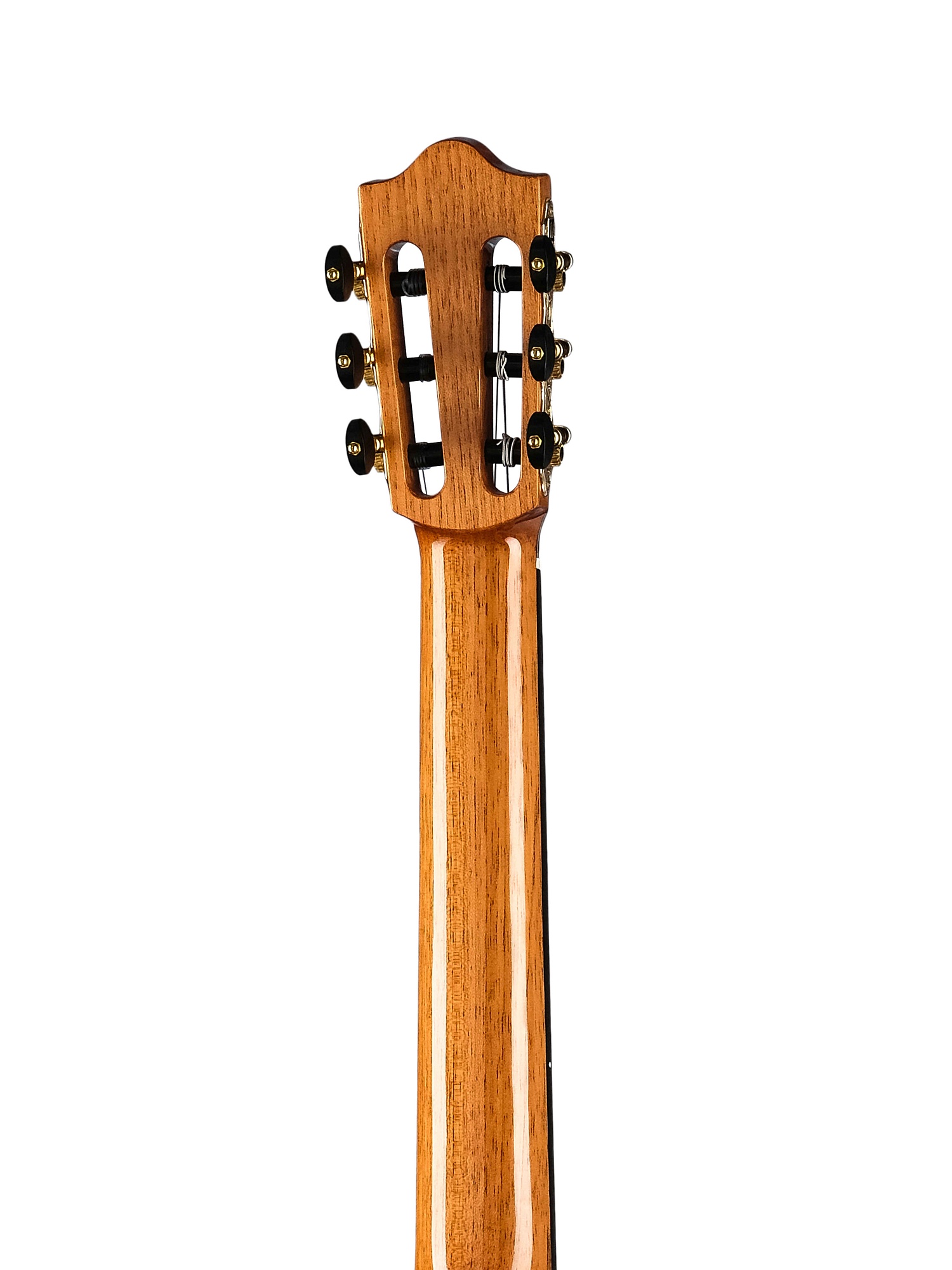 Martinez Almeria-Luthier-Rosewood