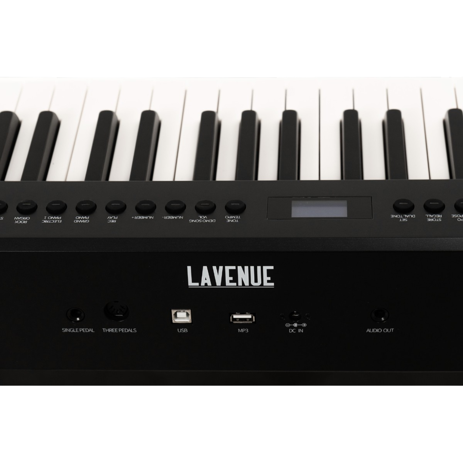 LAVENUE Nocturne BK