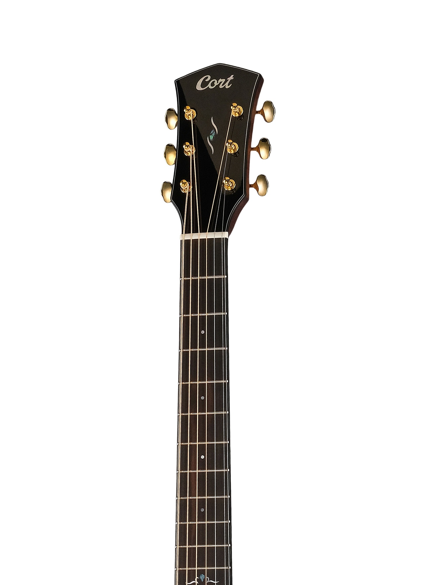 Cort Gold-MC6-Ovangkol-WCASE-NAT Gold Series