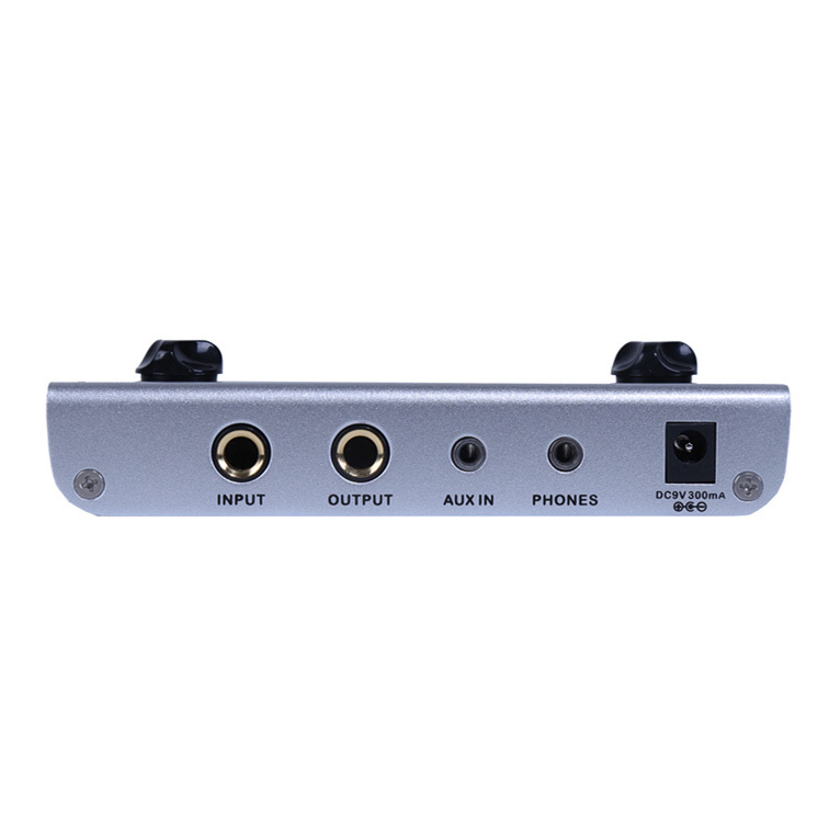 Mooer PE100