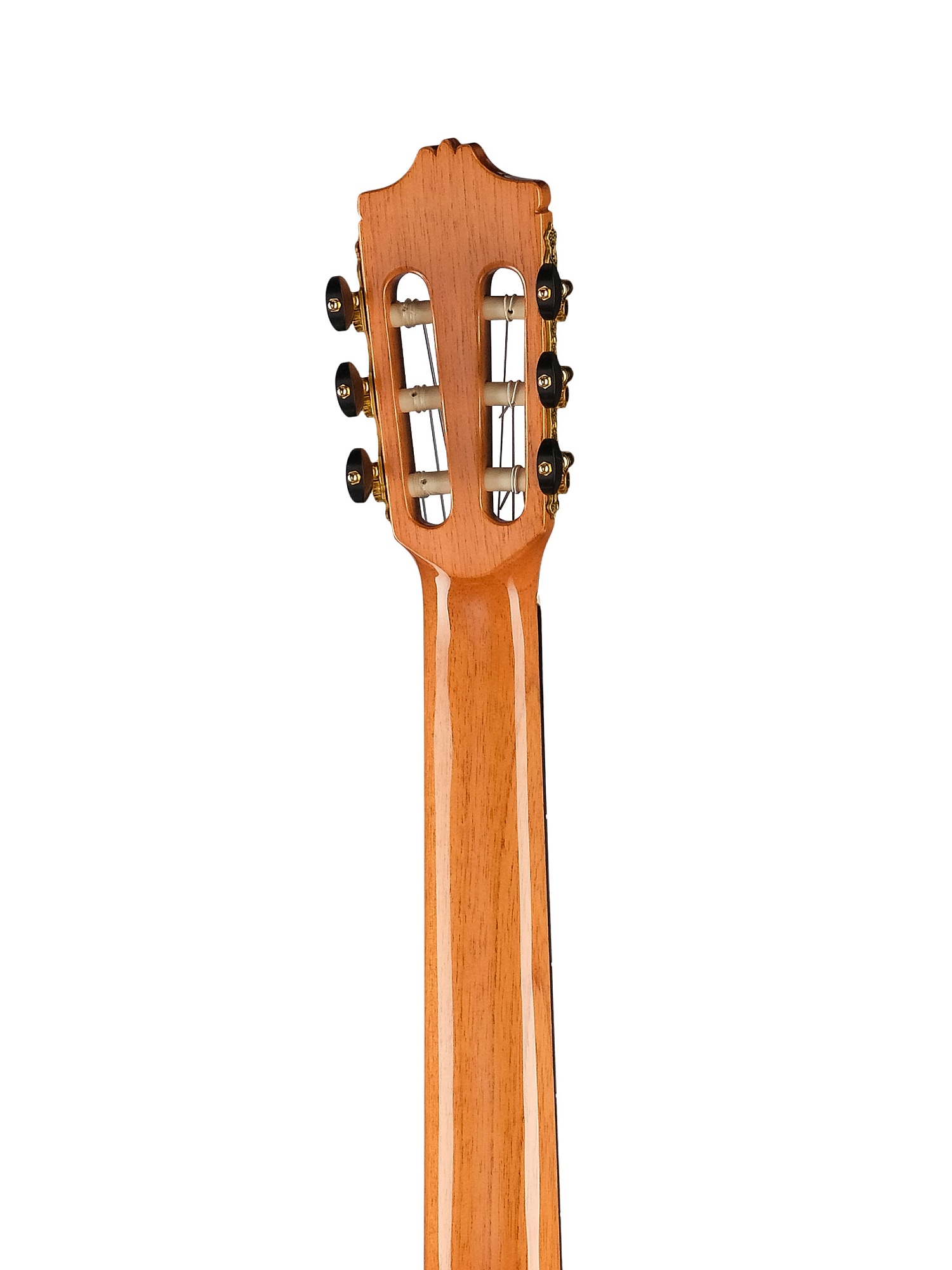 Alhambra 8.897 Green Sustain CTW E8