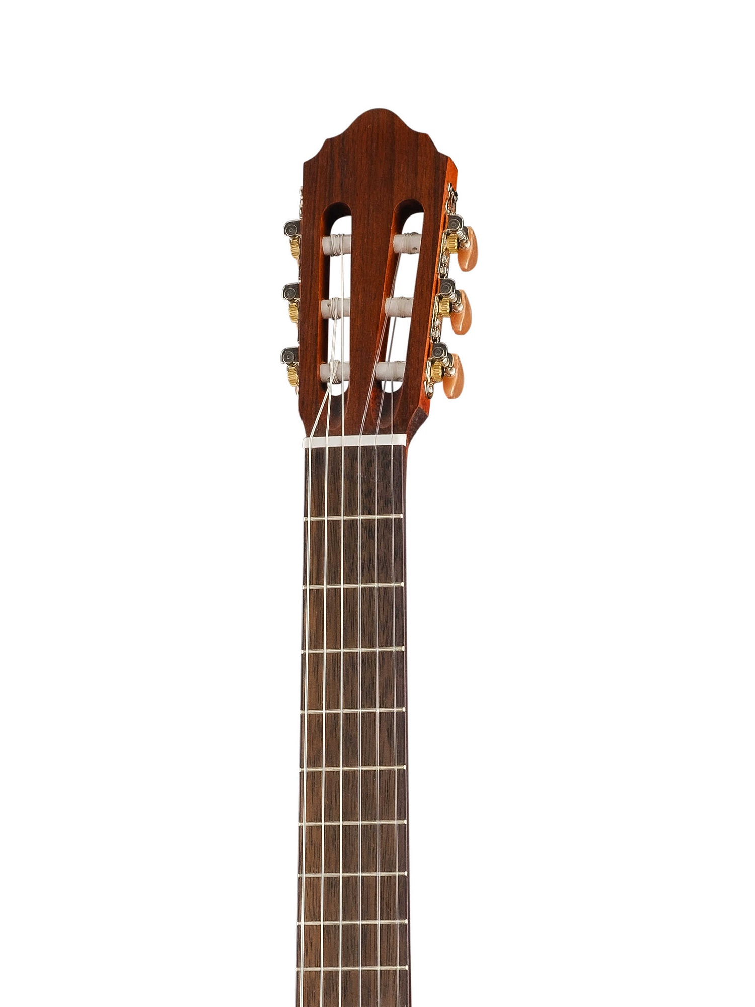 Cort AC200-4/4-OP Classic Series