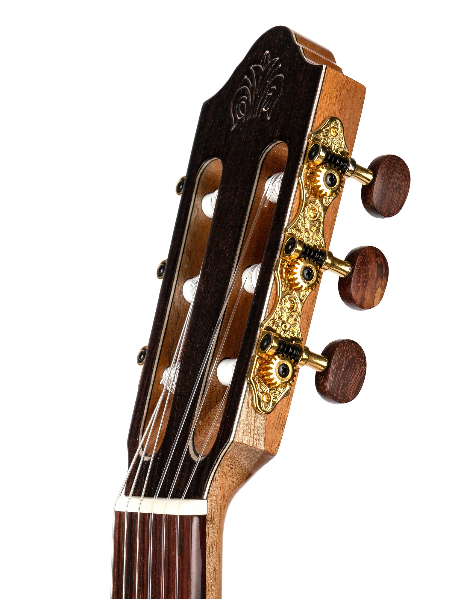 Kremona Fiesta-FS-w/case Spruce Artist Series