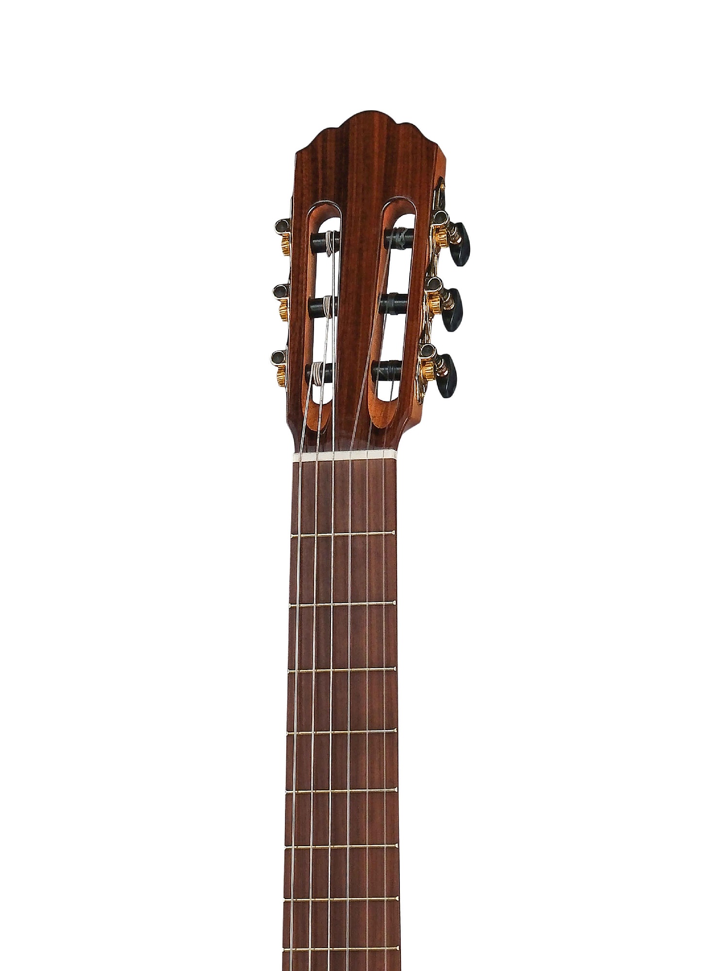 Root Note RNC300C-NT