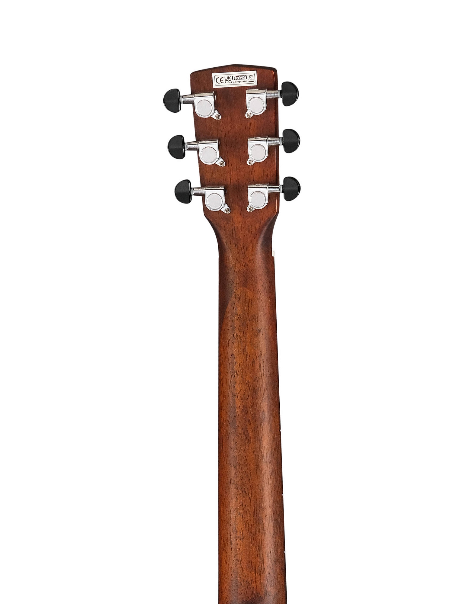 Cort Earth-GO-OPBB-wbag Earth Series