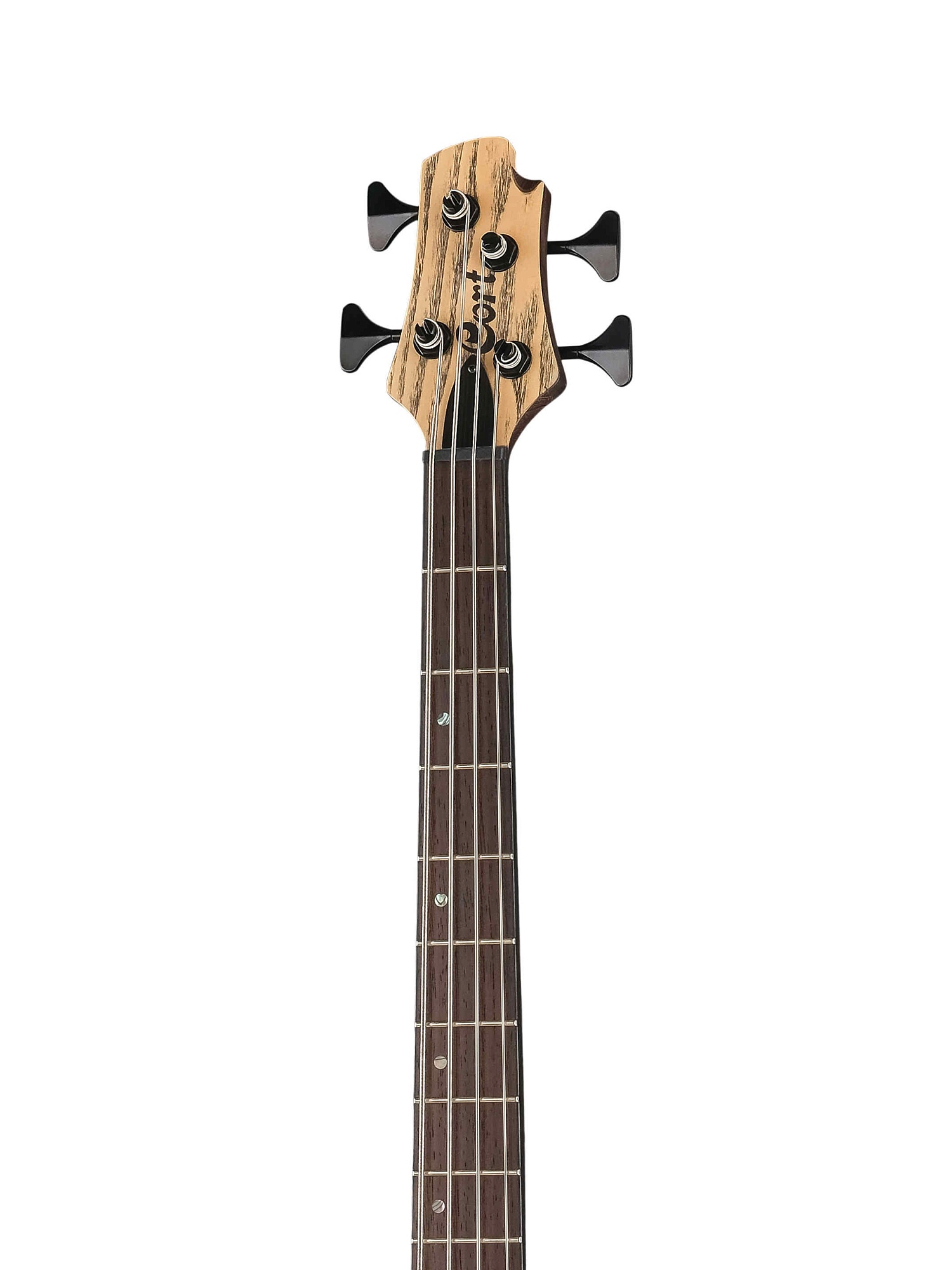 Cort A4 Ultra Ash-WCASE ENB Artisan Series