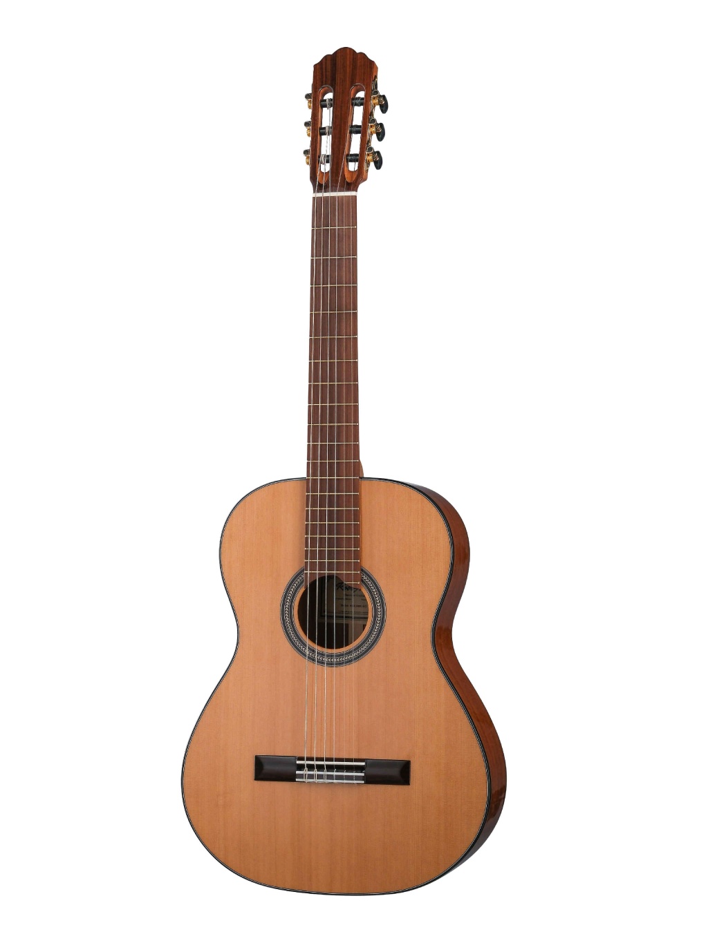 Root Note RNC300C-NT