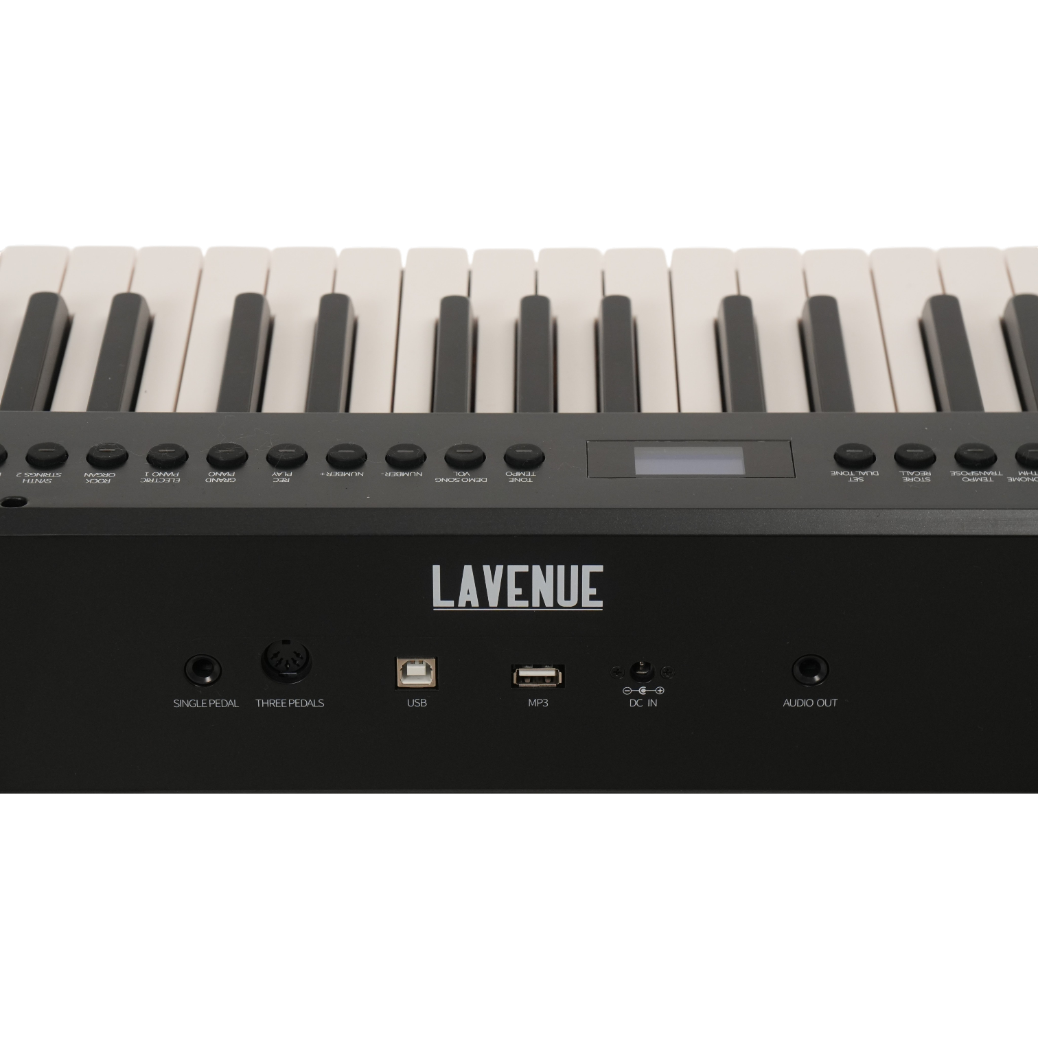 LAVENUE Nocturne BK