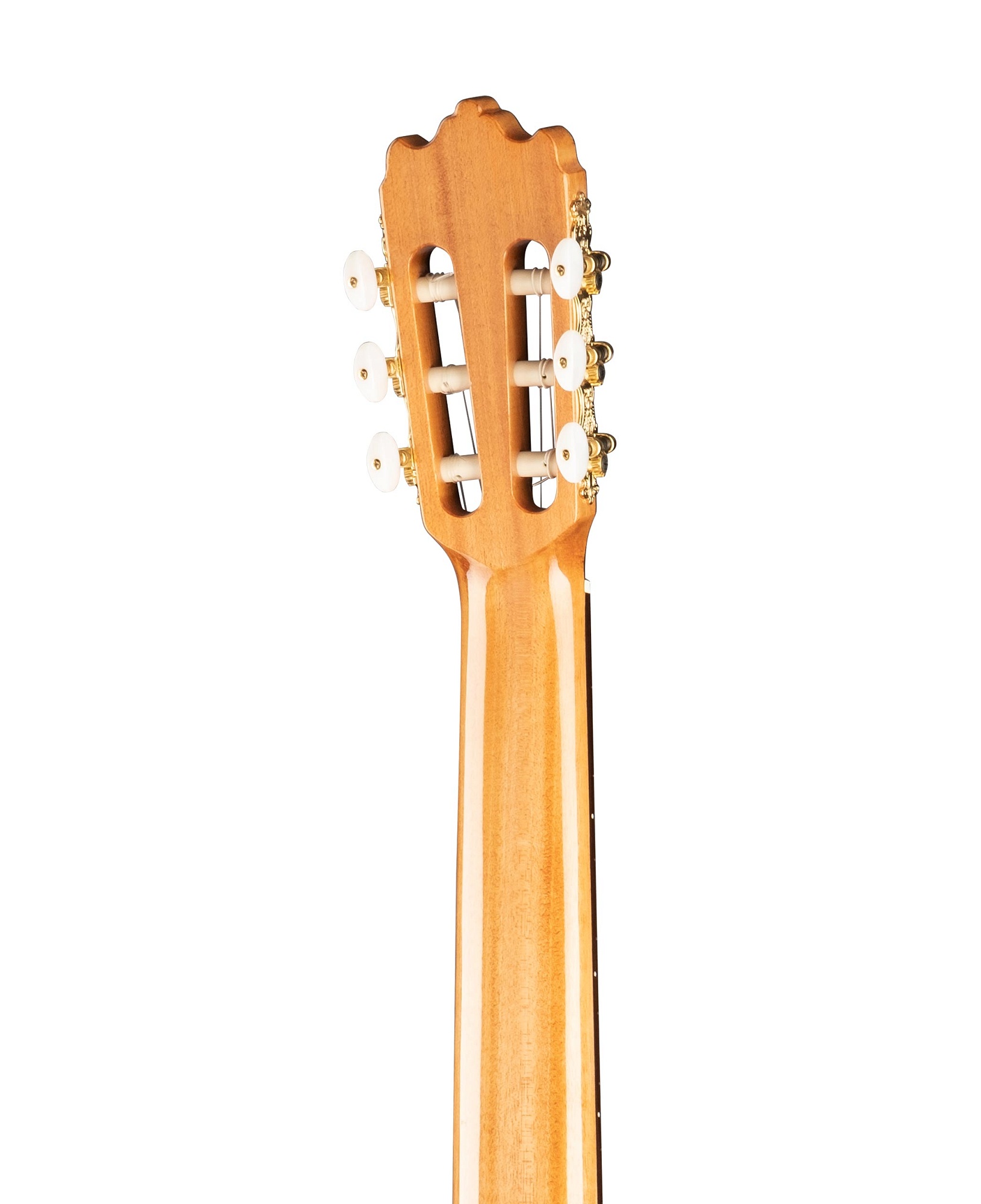 Alhambra 8.806 Classical Student Iberia Ziricote