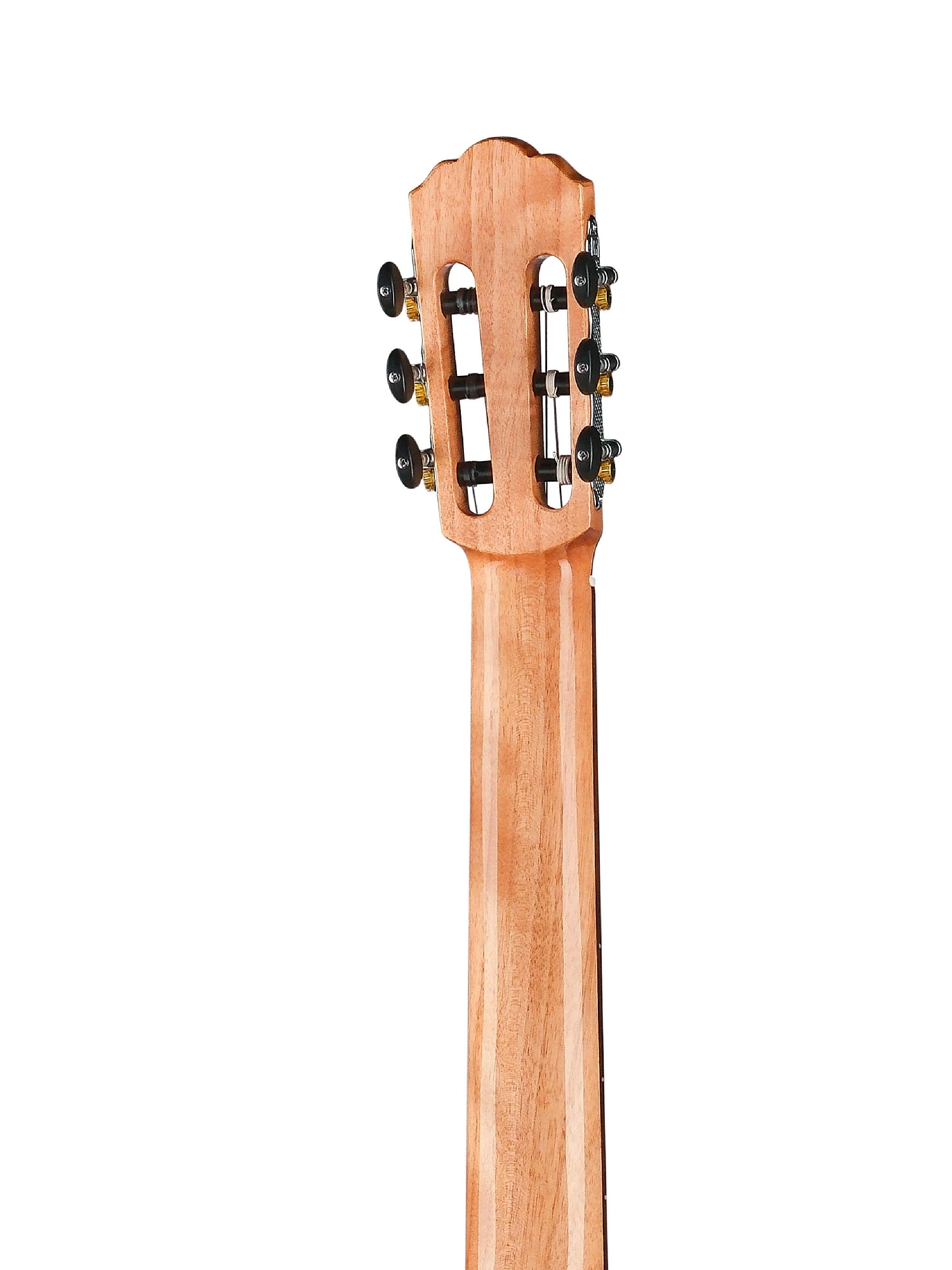 Root Note RNC200-NT
