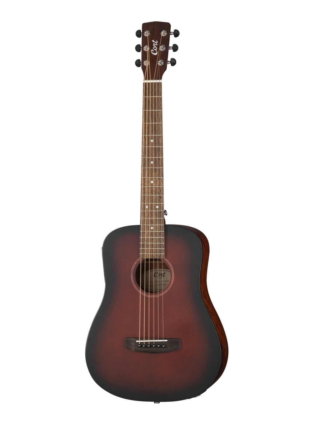 Cort Earth-GO-OPBB-wbag Earth Series