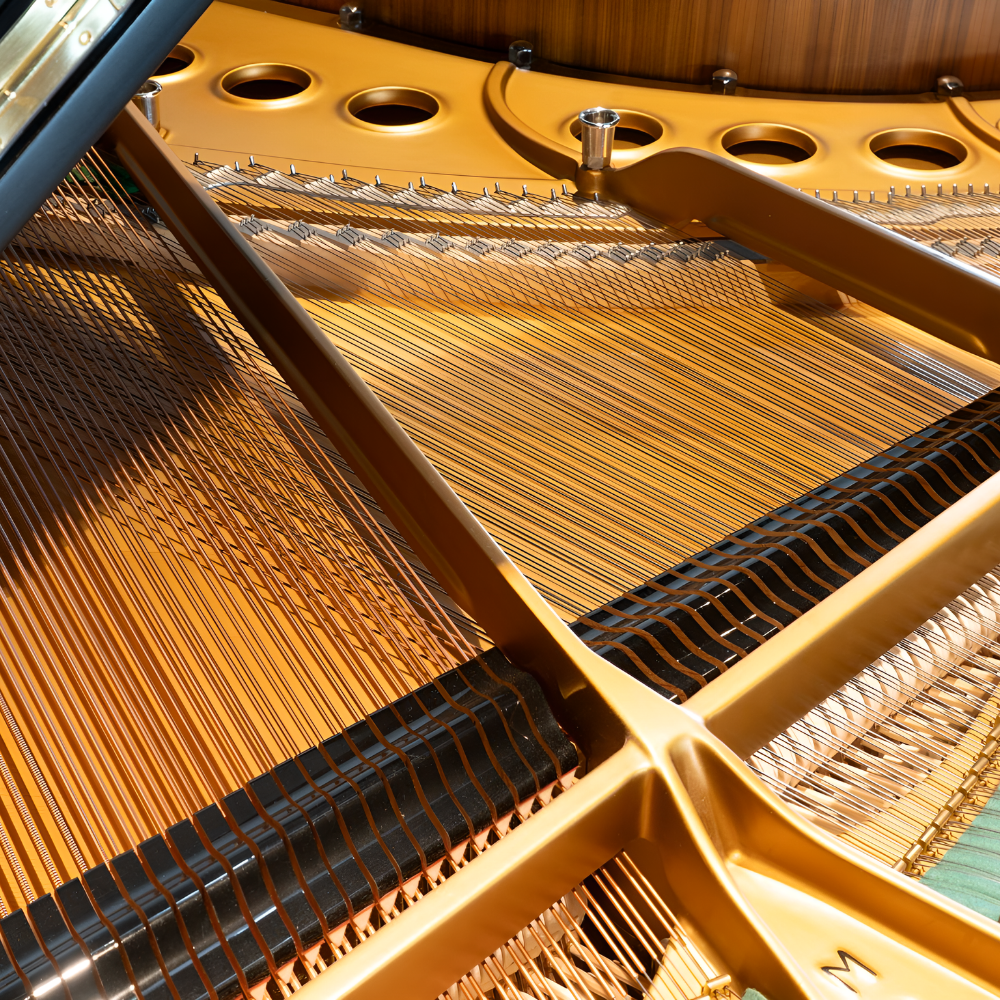 Steinway M-177