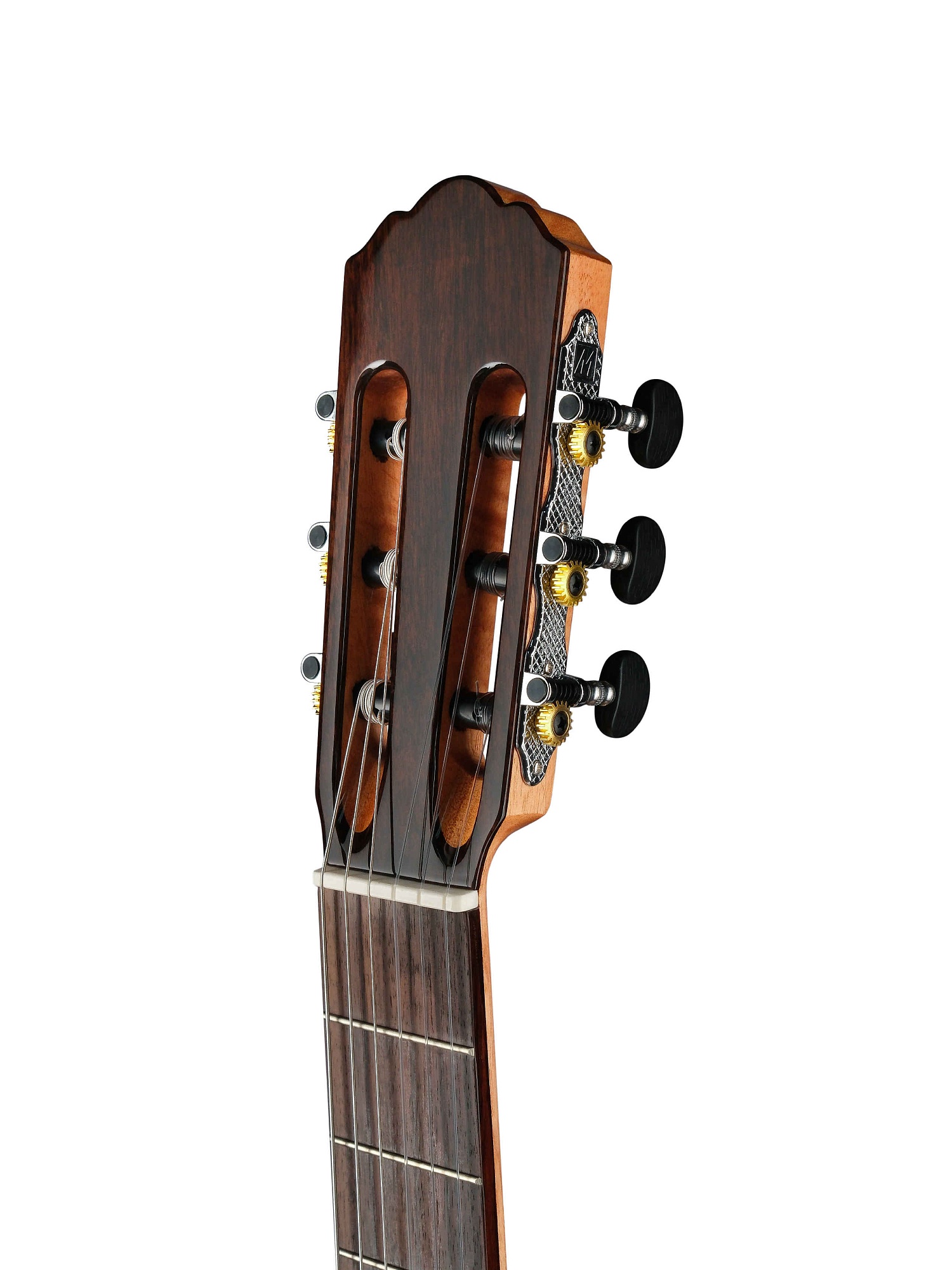 Root Note RNC200-NT