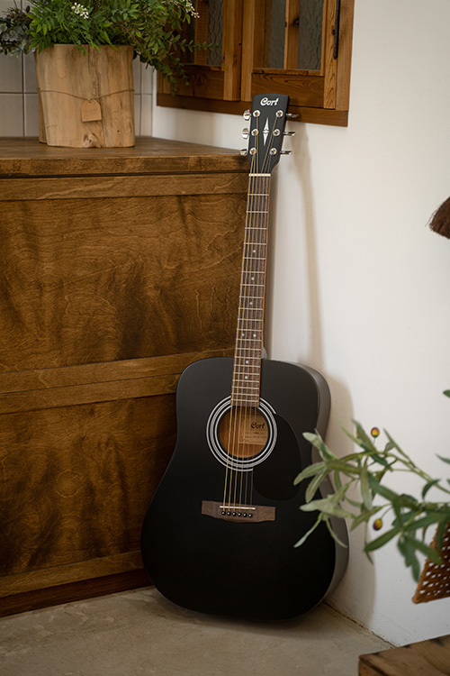 Cort AD810 BKS Standard Series