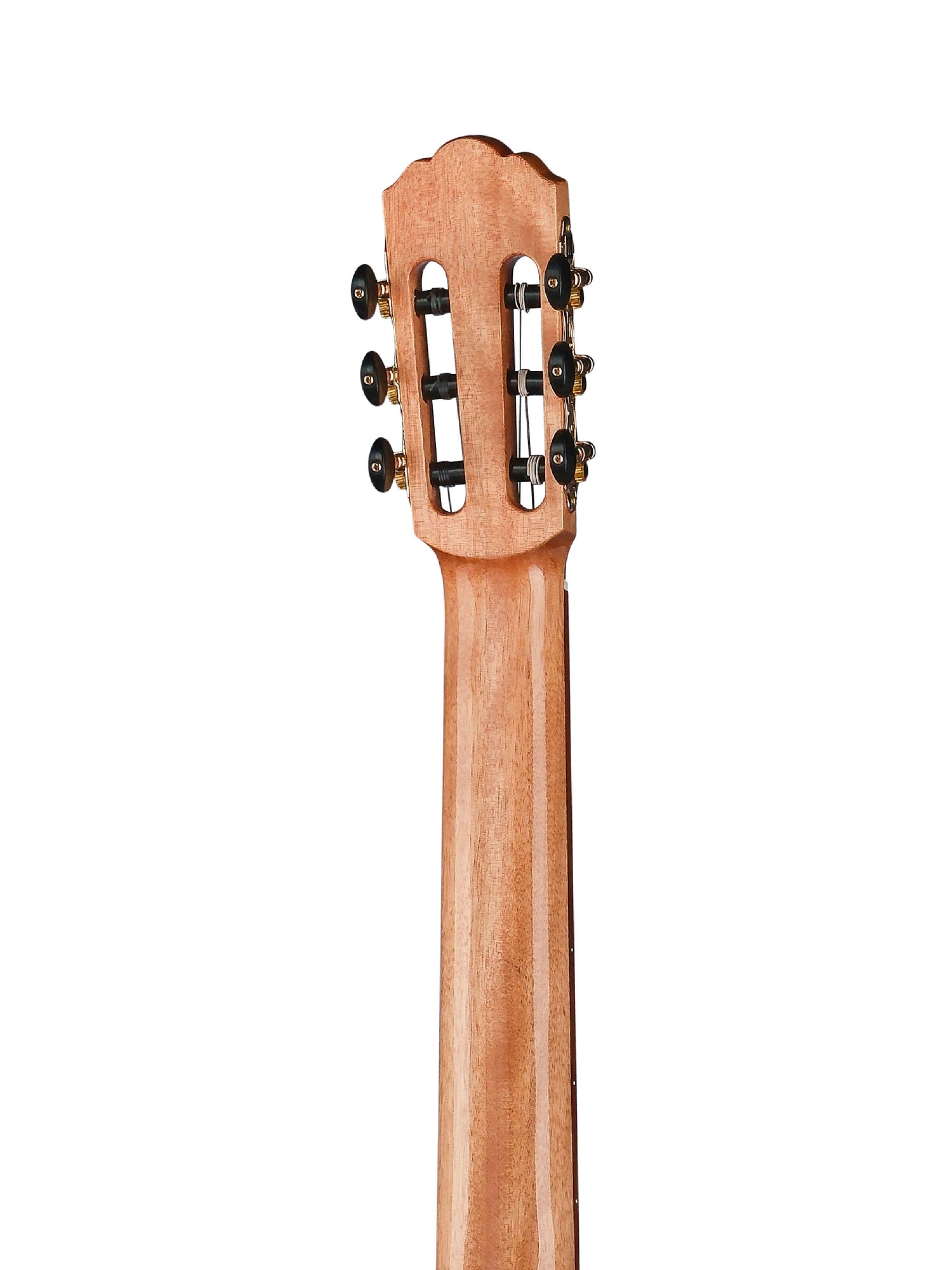 Root Note RNC300C-NT