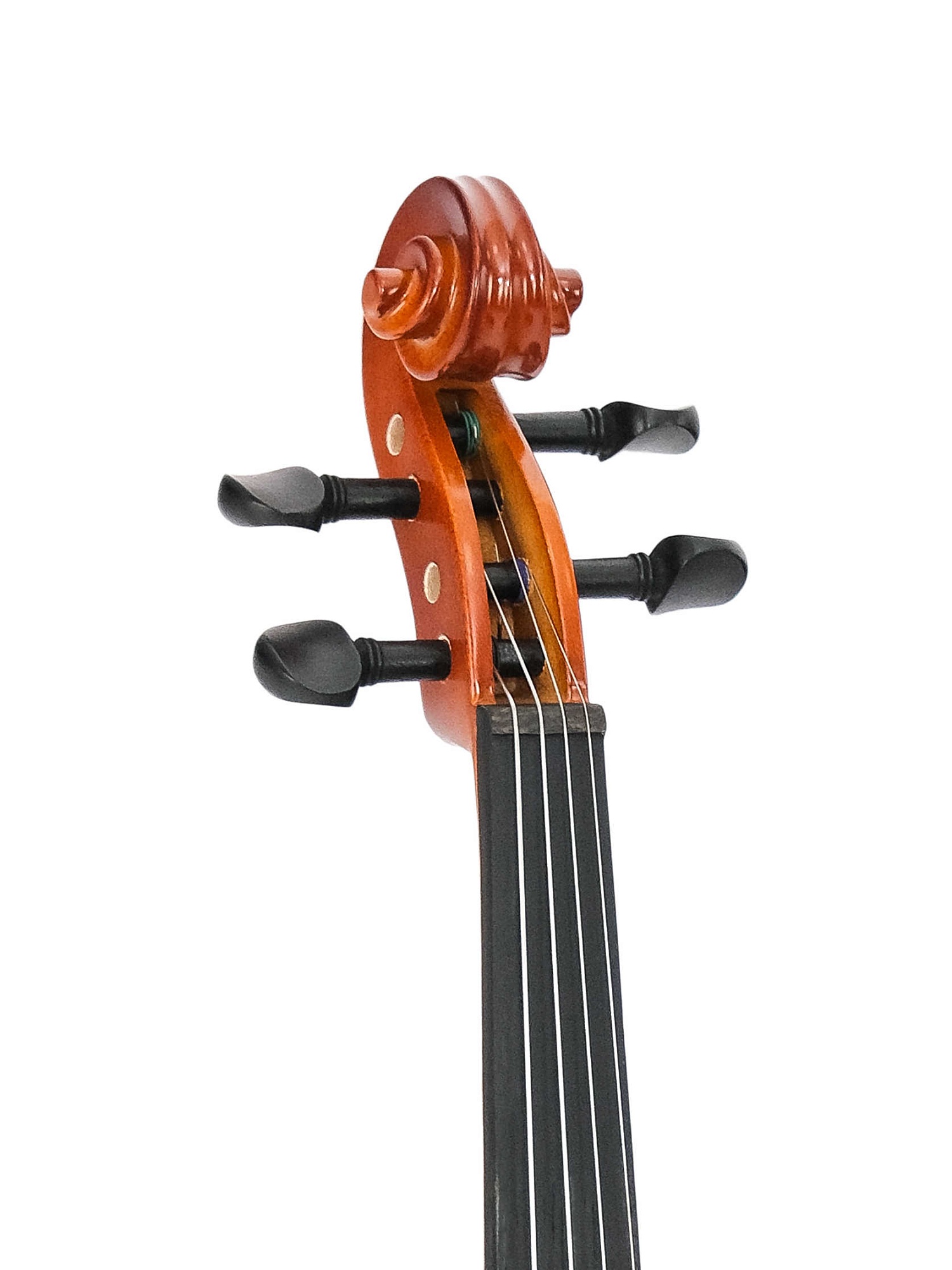 Caraya MV-003VT-1/2