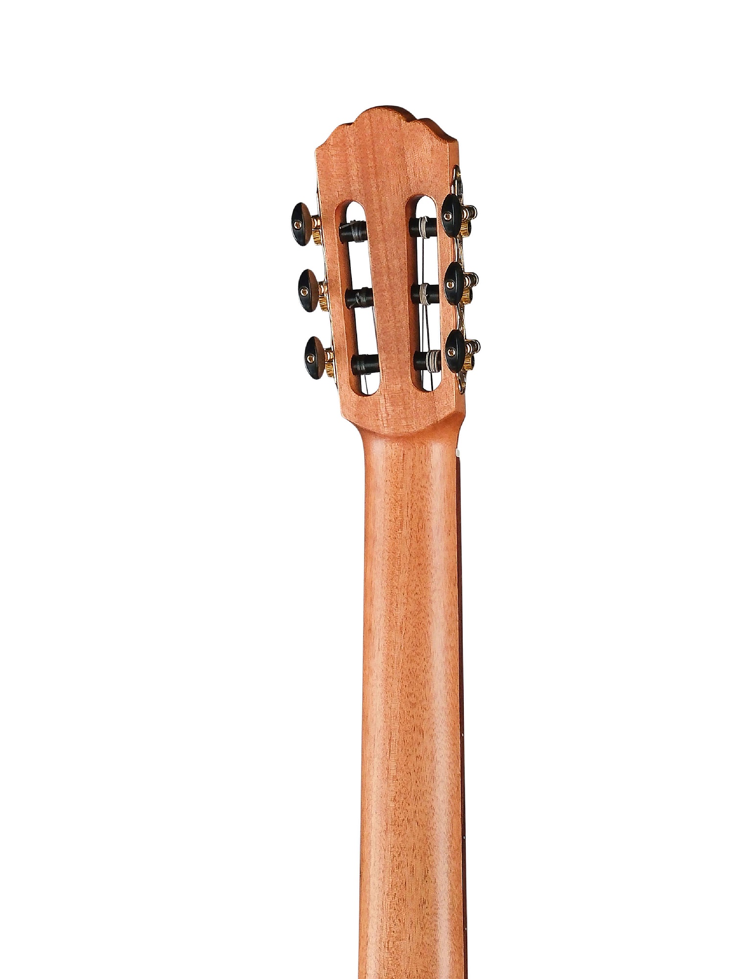 Root Note RNC300C-NS