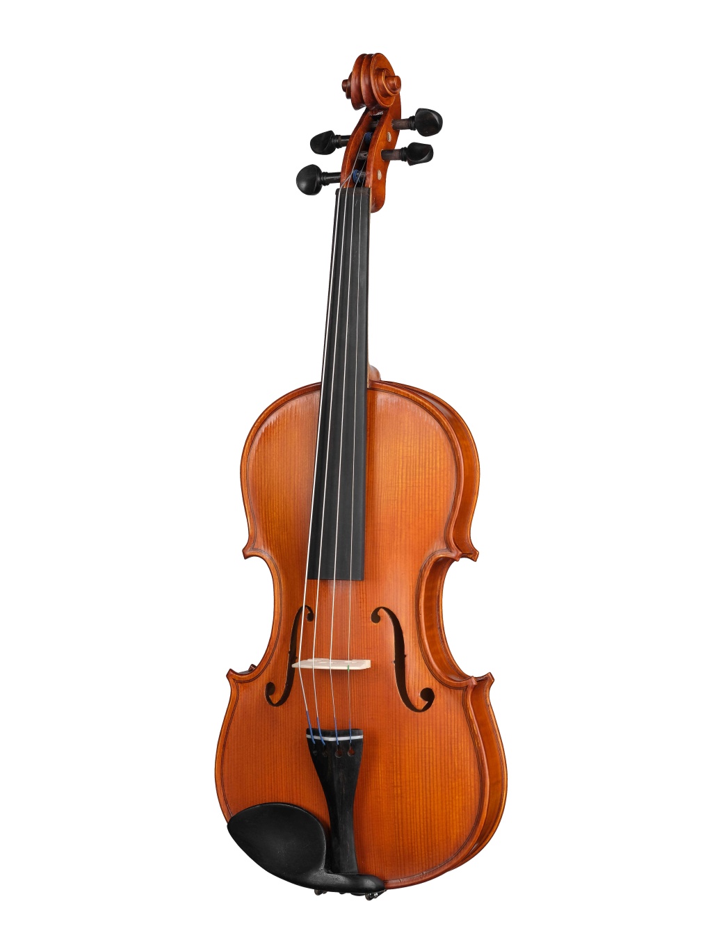 Gliga S-V044 Student Genial 1 Oil