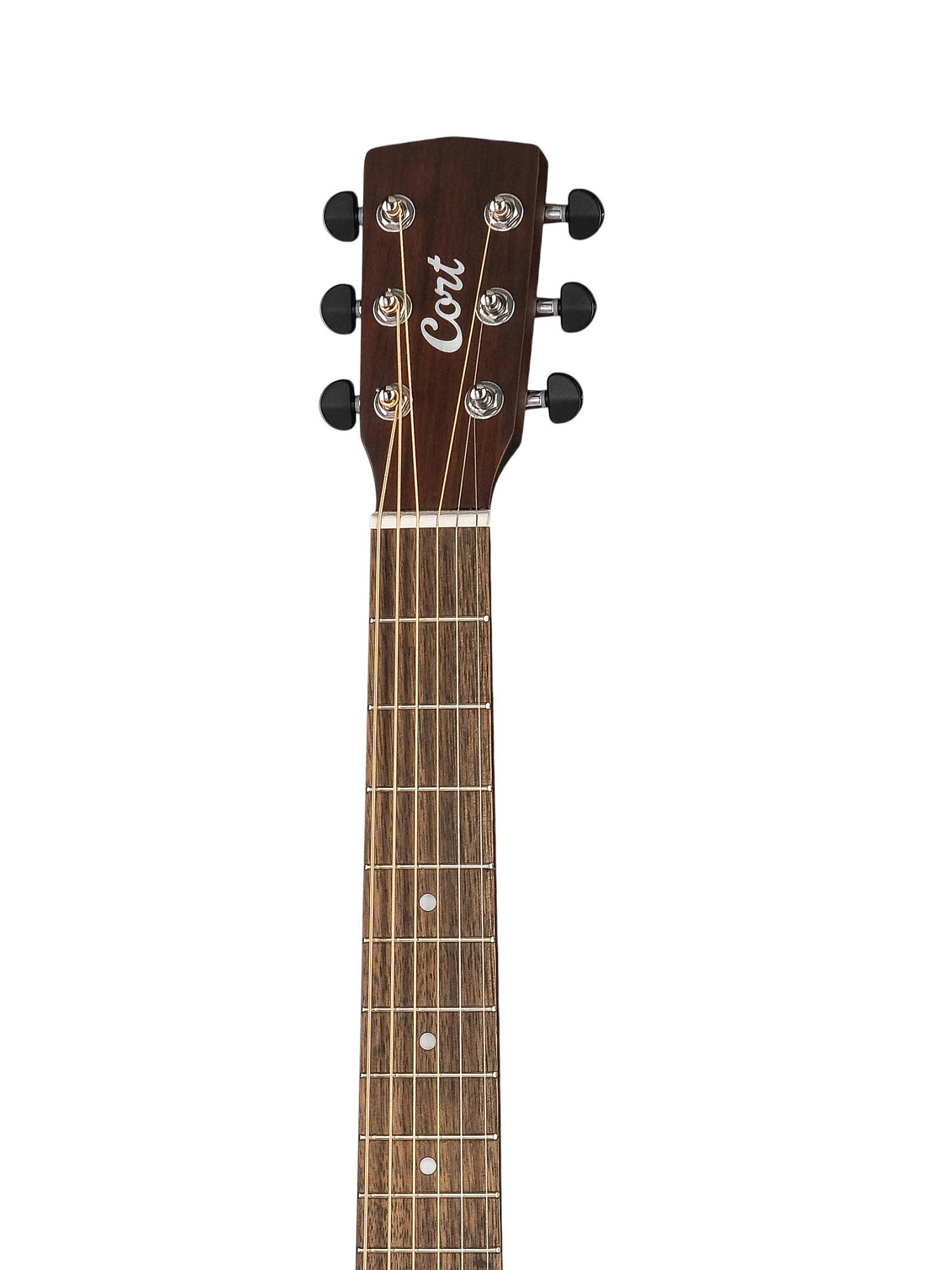 Cort Earth-GO-OPBB-wbag Earth Series